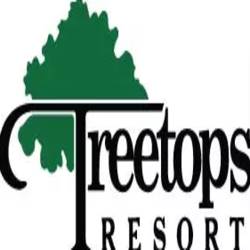 Treetops 