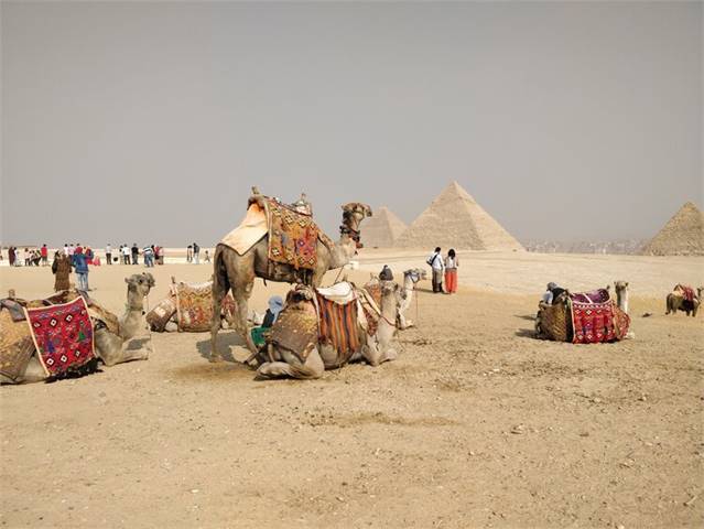 Egypt Tours and Travel